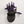 Galaxy Purple Cyborg II