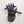 Galaxy Purple Cyborg II Compact
